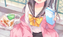 动漫白丝,探寻动漫中的纯洁与诱惑